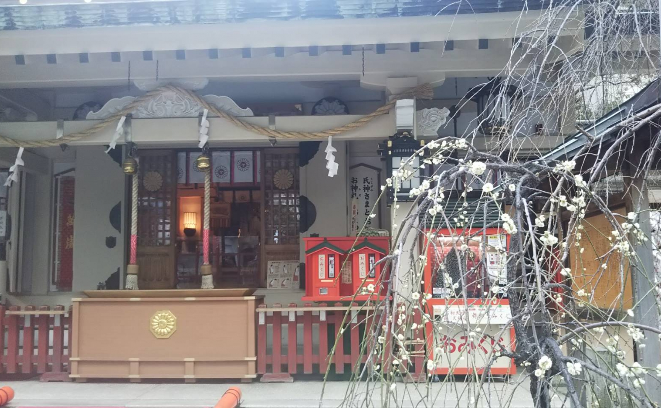 舞獅子がおみくじを選んでくれた♪「お初天神」で運試し
