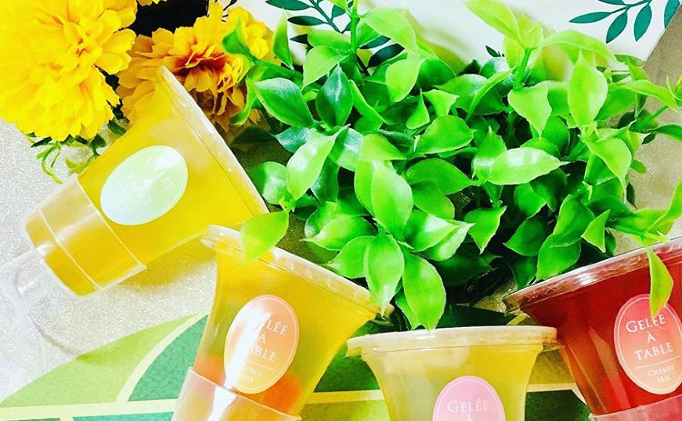 夏限定フルーツゼリー 定番人気菓子シガールセット お土産 お取り寄せにピッタリ Alcocca梅田 アルコッカ 梅田