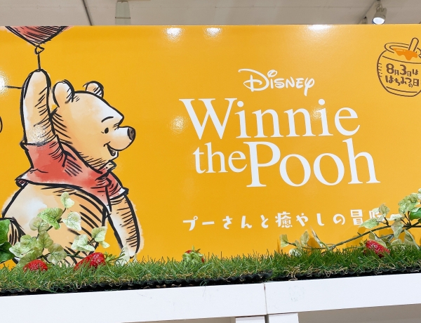 黄色いクマさん。｜Alcocca梅田 大阪 （アルコッカ 梅田 大阪）