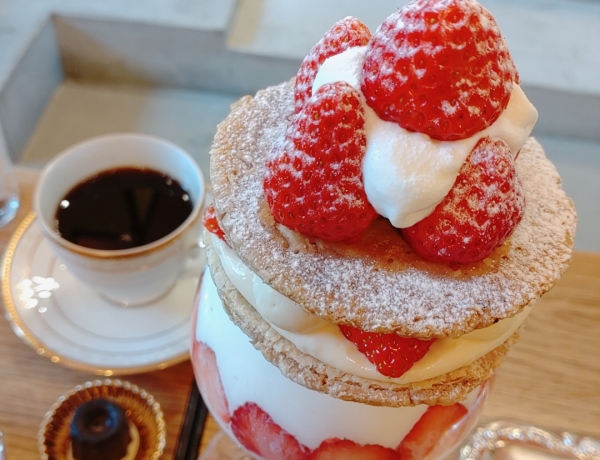 なんか映えなカフェが北摂にできてる🥺