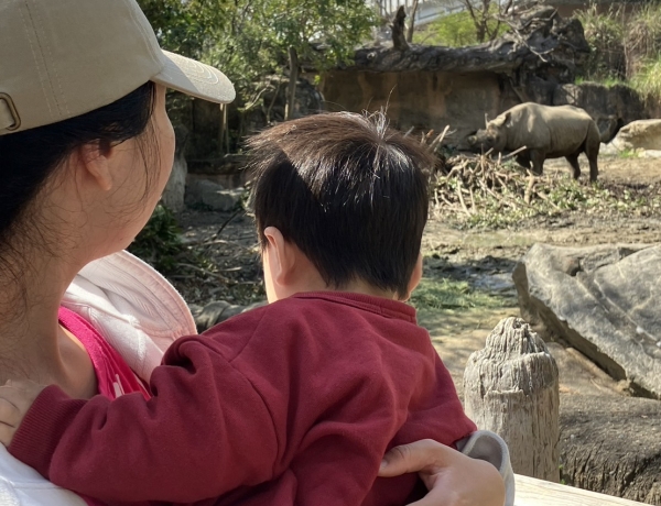 天王寺動物園に行きました！