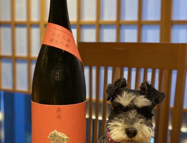 日本酒新入荷‼️｜和食とお酒 雅