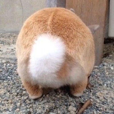 えみゅー