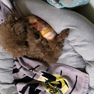 ままさん